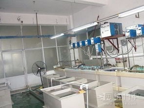 广告设计 艺术与策略的交汇